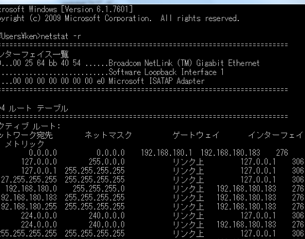 【ネットワークコマンド】ping、bonding、nmap、nc、netstat、ssを徹底解説